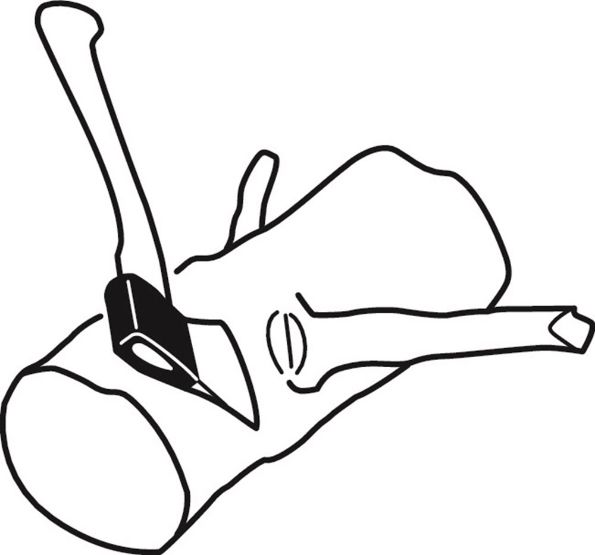 Afbeelding - https-www-ez-catalog-nl-Asset-904f76cdce164ebebdcb73a92f890806-ImageFullSize-bpt-hatchet-symbol-l-jpg